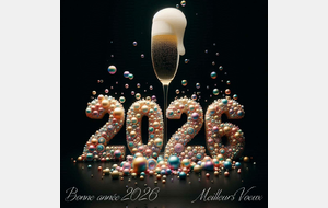 69522496513d8_bonneannee2026avecreflexion.jpg