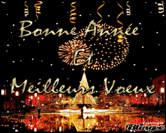 69522496b2459_bonneanne3.gif